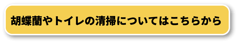 胡蝶蘭やトイレの清掃についてはこちらから