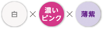 Happiness胡蝶蘭